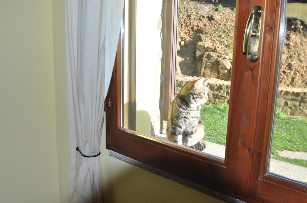 Agriturismo Il Cerrosughero Villa Scarlino Rom bilde