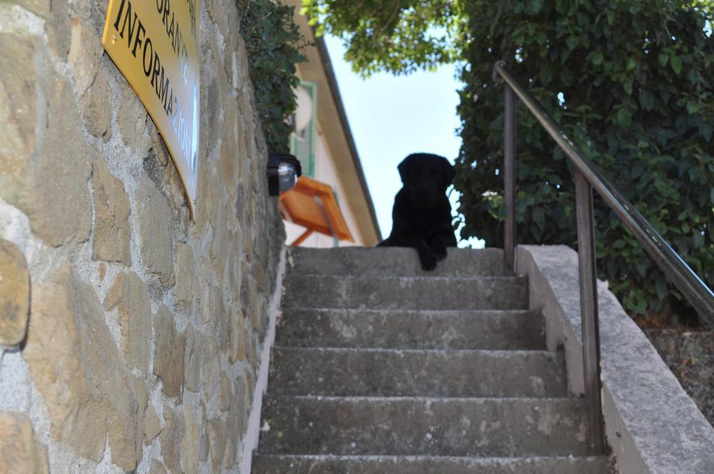 Agriturismo Il Cerrosughero Villa Scarlino Eksteriør bilde