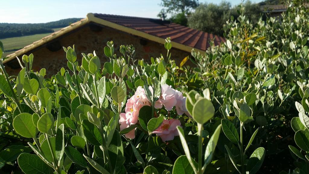 Agriturismo Il Cerrosughero Villa Scarlino Eksteriør bilde